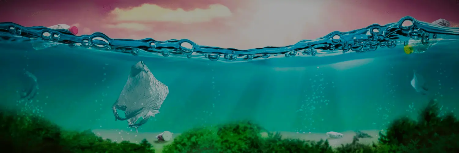 Vesselex sustainable practices in maritime operations