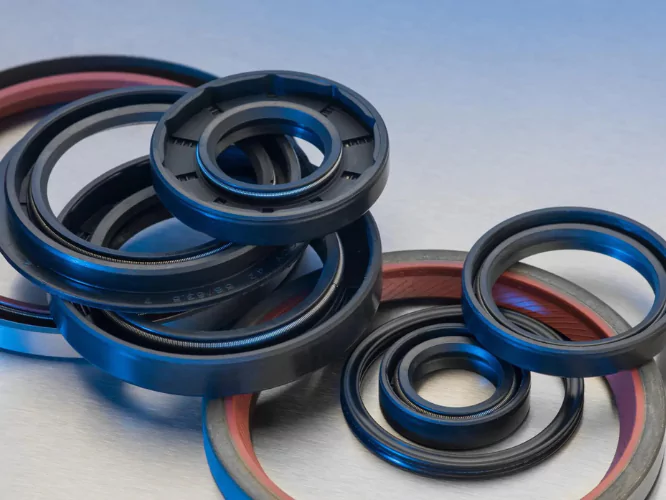 Different types of oil seals supplied by Vesselex, designed for marine applications.
